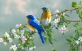 bluebirds with flowers birds